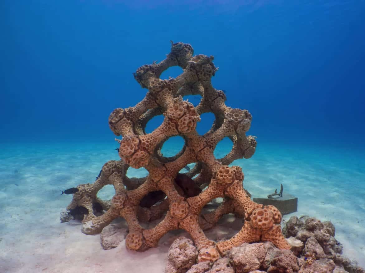 Island Maldives receives the Guinness Records of largest 3-D Printed Reef - IMTM